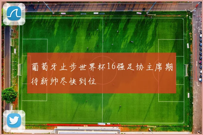 葡萄牙止步世界杯16强足协主席期待新帅尽快到位